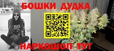 тгк Новокубанск